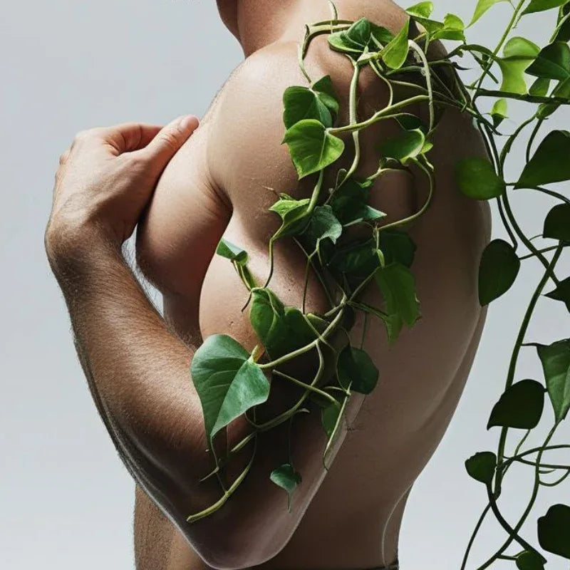 כתף ויד - BARI-IL