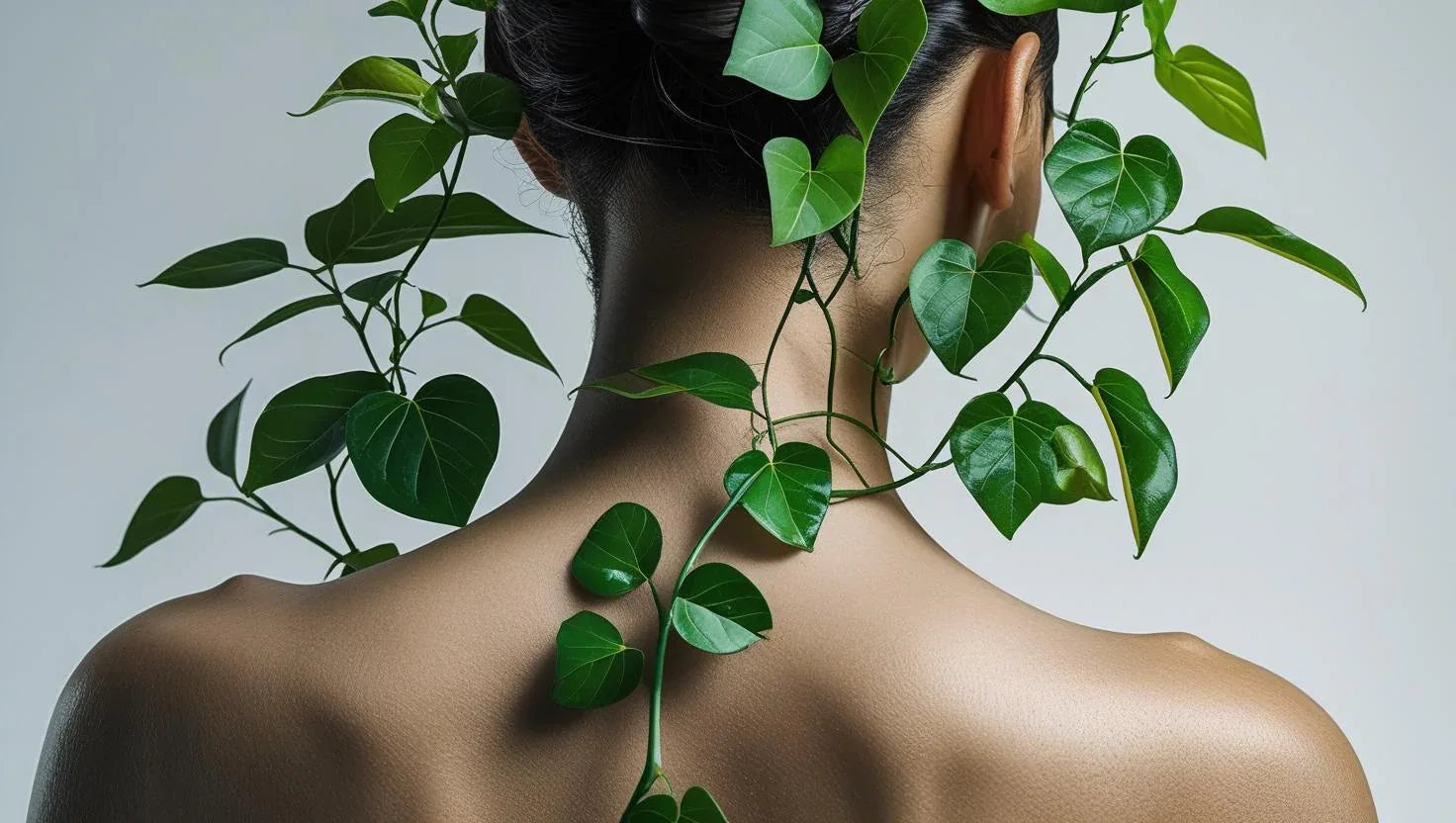 צוואר ושכמות - BARI-IL