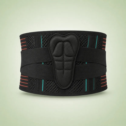 Bari-il Spine-Guard | חגורת גב מקצועית לתמיכה מותנית והקלה על עומסים